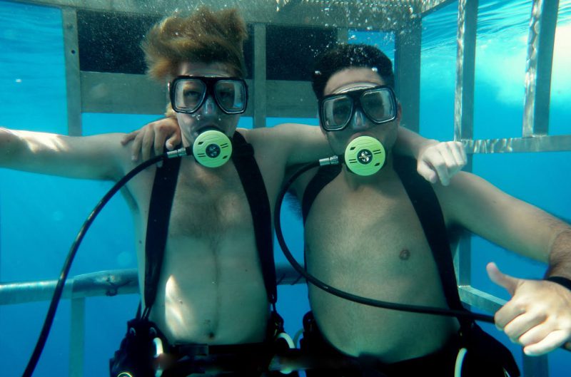 Shark Cage Diving off of Guadalupe Island